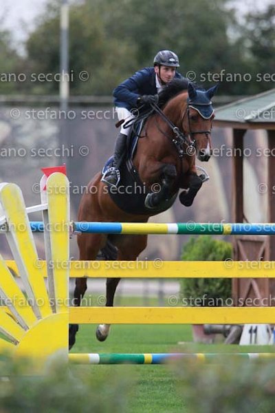 TAZZI_JACARAN_GIO CAV 2011_(156) SS3_9895.jpg